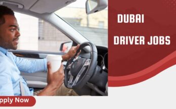 Driver Needed in Dubai 