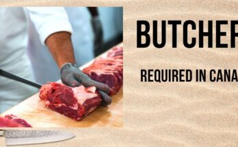Butcher Required in Canada