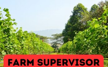 Farm Supervisor Jobs in Canada