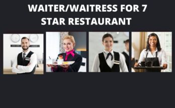 Waiter/Waitress for 7 Star Restaurant in Dubai