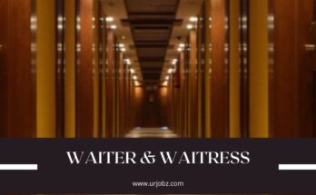 Waiter & Waitress Jobs in Qatar