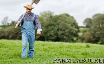 Farm Labourer Vacancies in Canada
