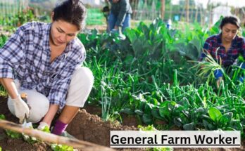 General Farm Worker Vacancies in Canada