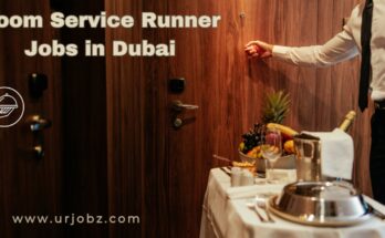 Room Service Runner Jobs in Dubai